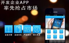 企業定制原生app的理由